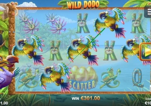 Игровой автомат Wild Dodo - призовая комбинация Призовая комбинация в игровом автомате Wild Dodo