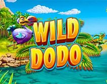 Wild Dodo